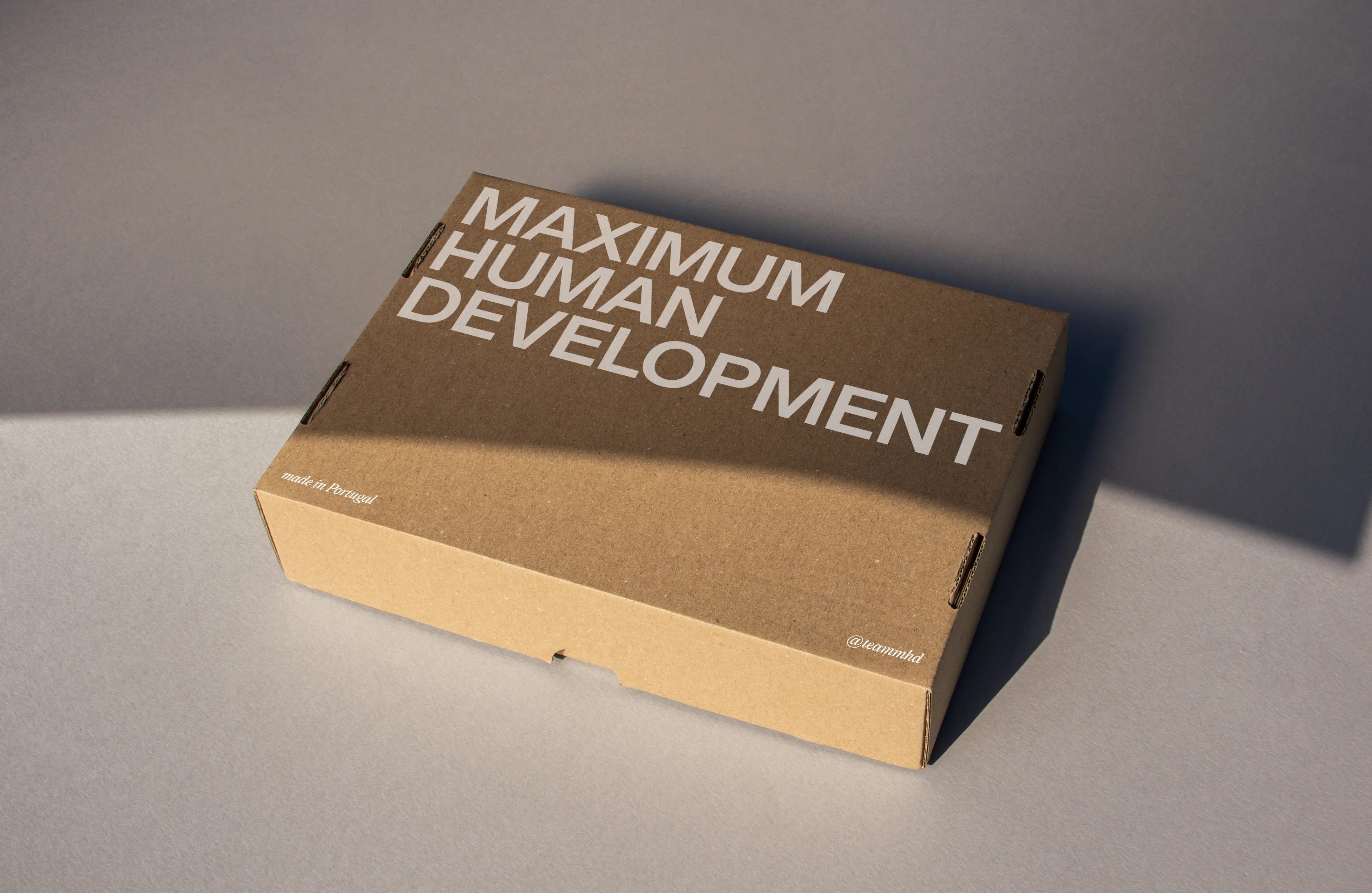 Team MHD Delivery Box